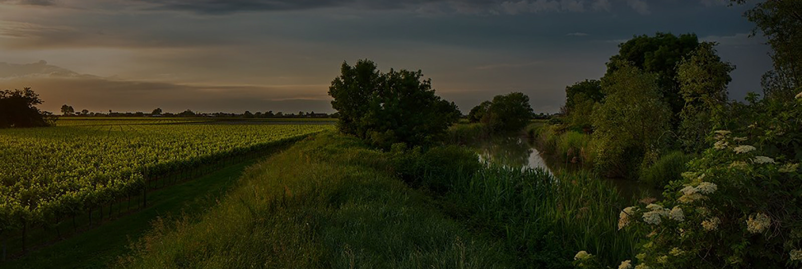 Tenuta Sant'anna (Veneto)