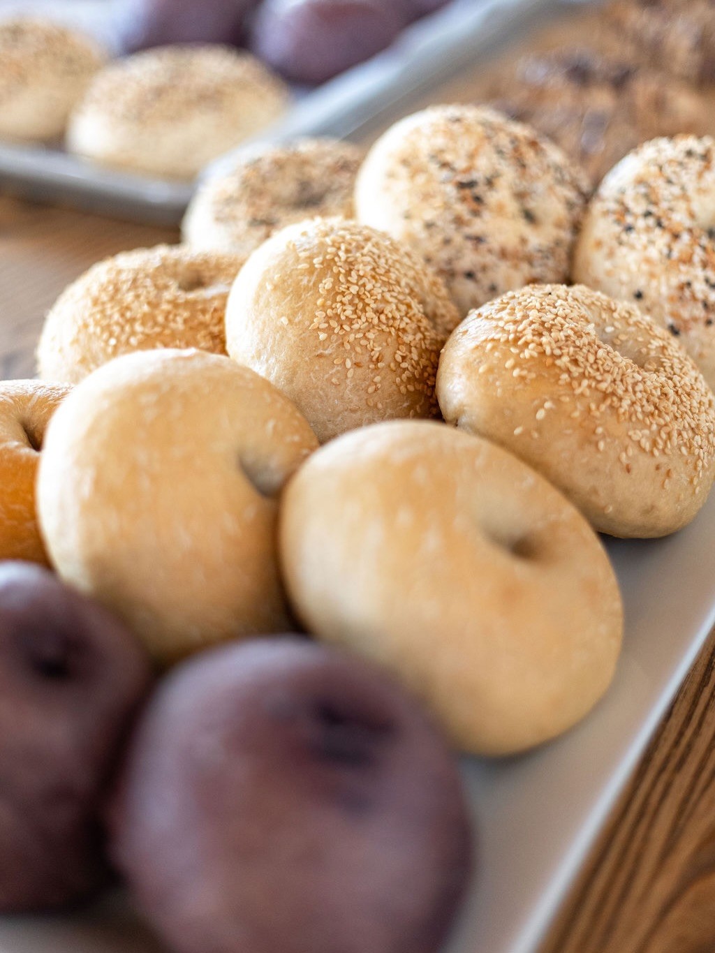 Sourdough Salt Bagel - 3 Pack