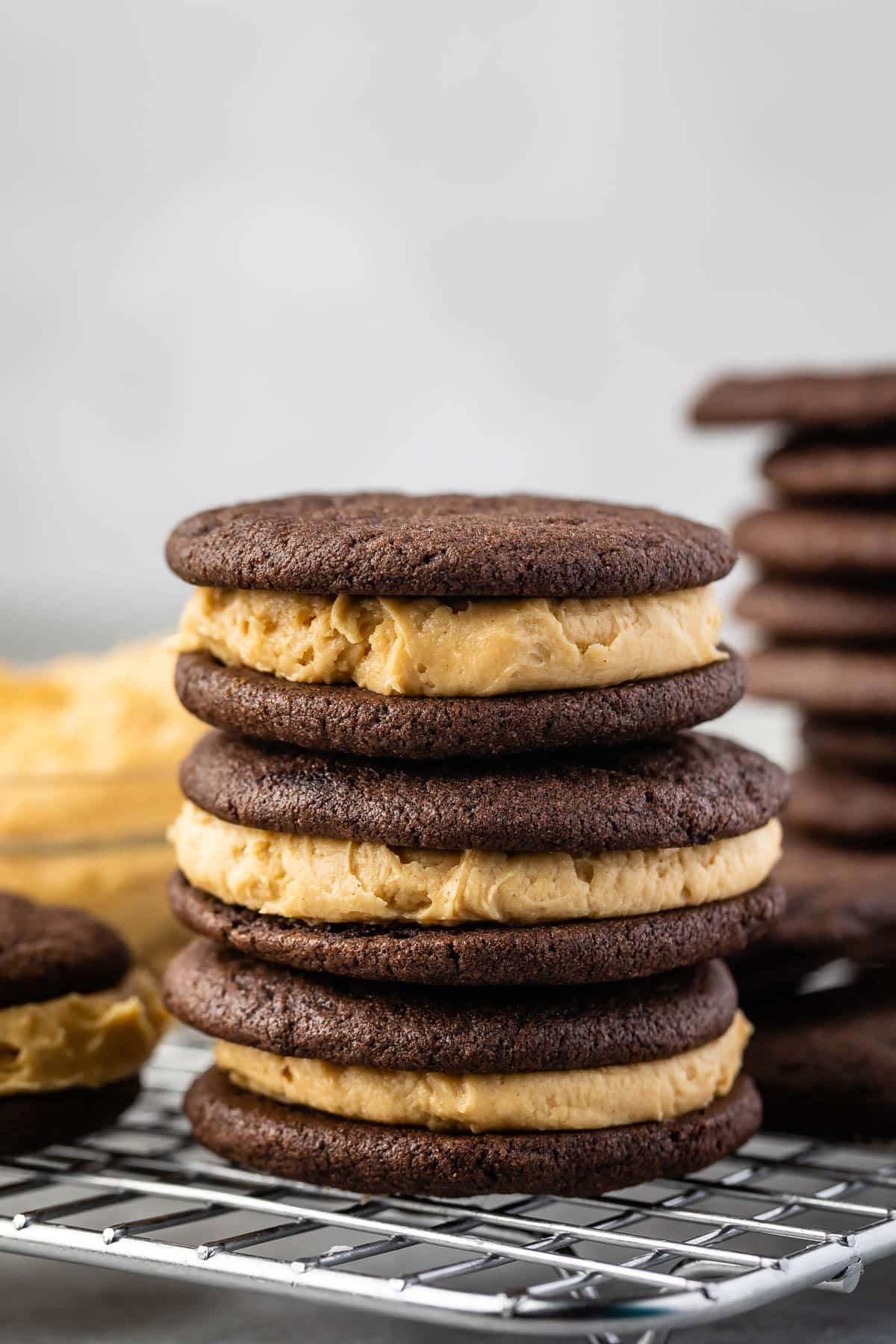 Chocolate PB Sammie
