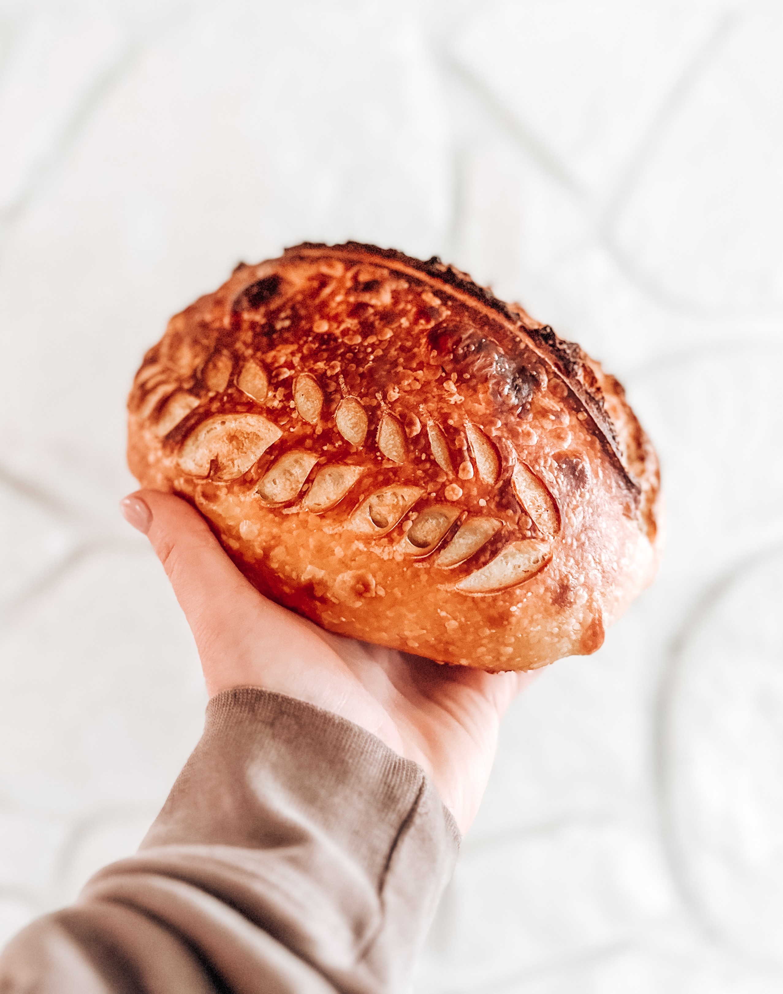 5 Cheese Explosion Sourdough Loaf