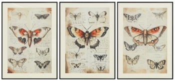 Jossletts - Orange / Black / Ivory - Wall Art Set (Set of 3)
