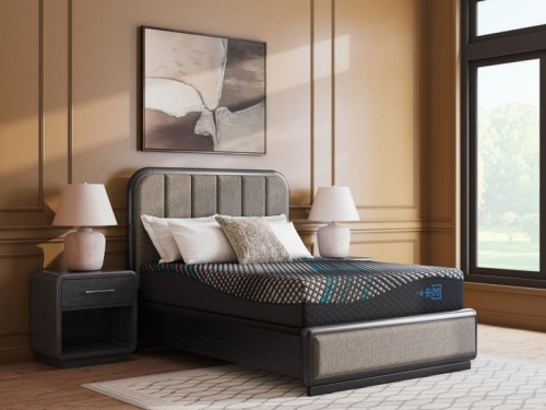 Millennium 2.0 Hybrid 12 Inch - Black - Queen Mattress