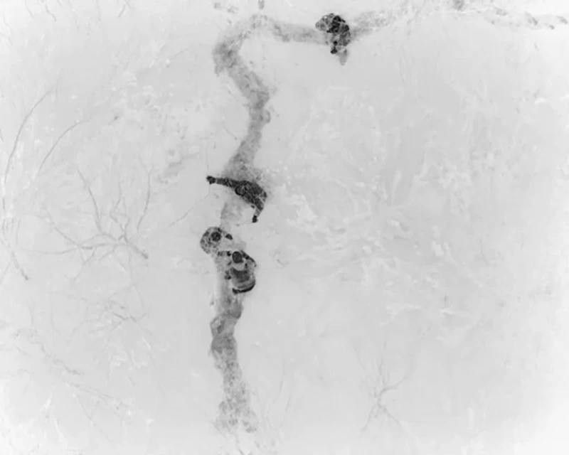 Drone detection and local law enforcement response