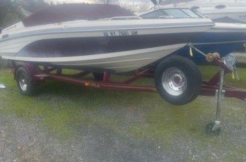 1996 CELEBRITY 190 BR W/4.3 L MERCRUISER