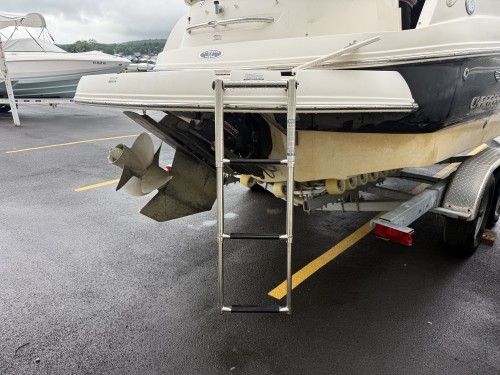 2004 CHAPARREL SUNESTA 236 W/ MERCURY ENGINE