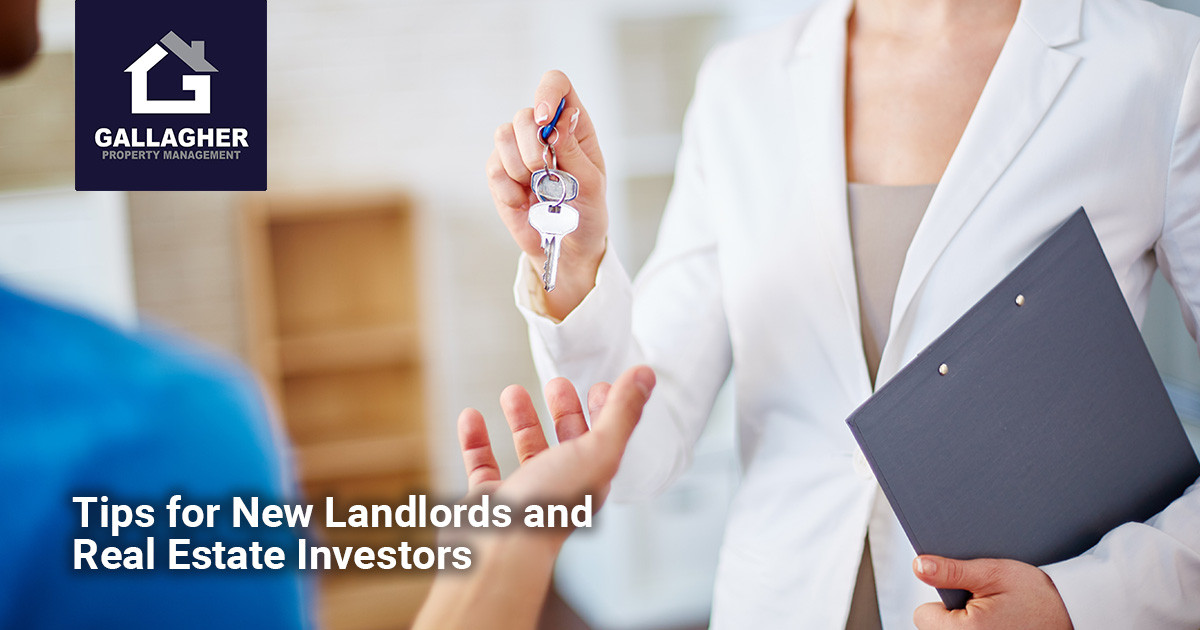 Tips for New Landlords and Real Estate Investors