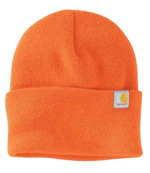 Carhartt® Watch Cap 2.0 - TP
