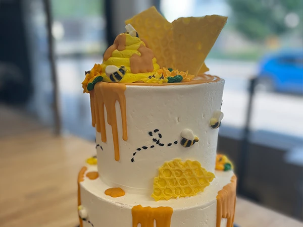 Gender Reveals