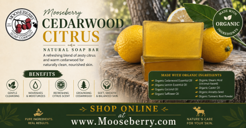 Cedarwood Citrus Soap Bar