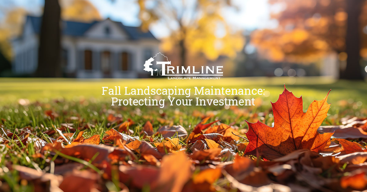 Fall Landscaping Maintenance: Protecting Your Investment