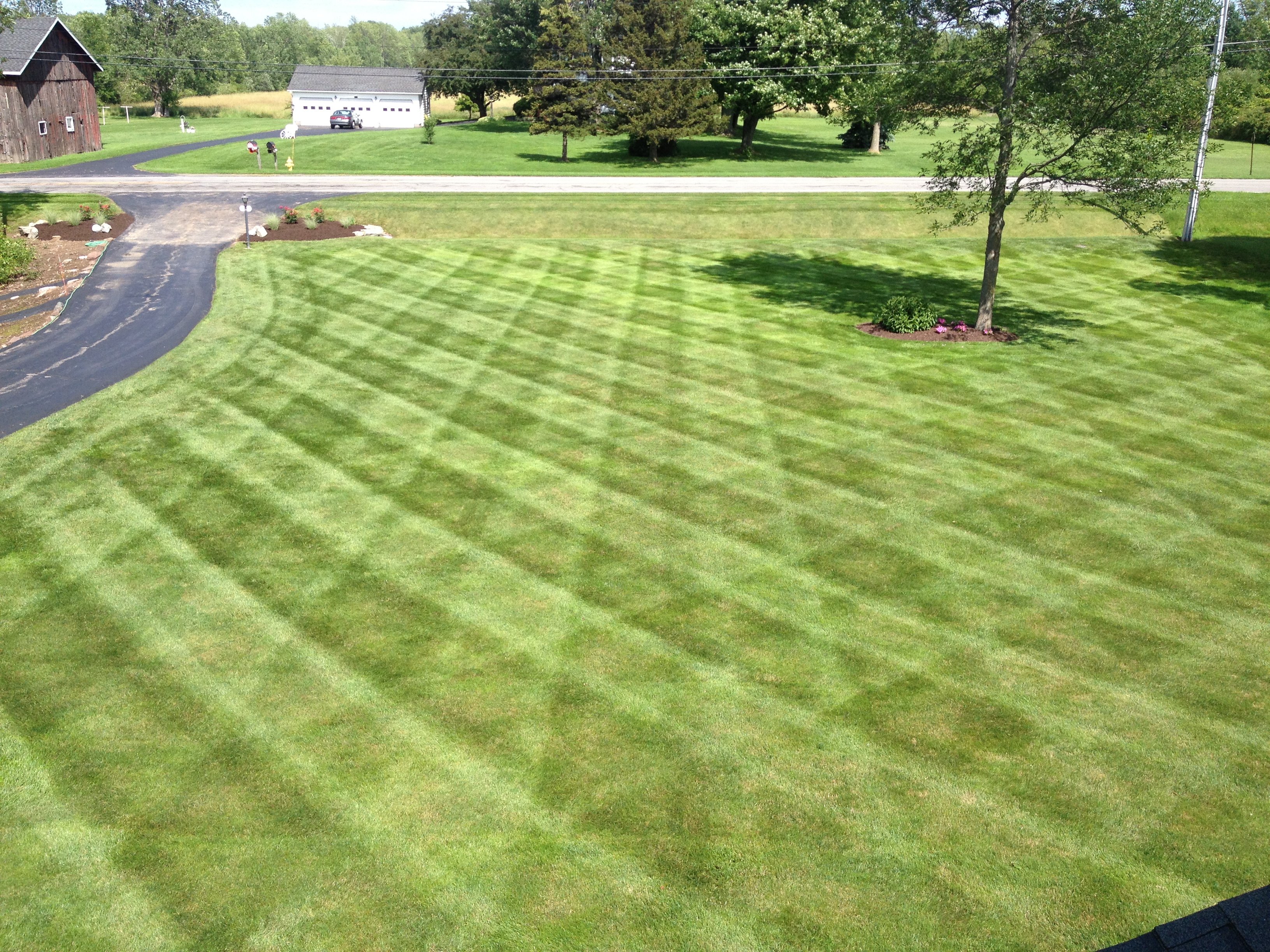 Lawn Mowing Trimline Landscape Management