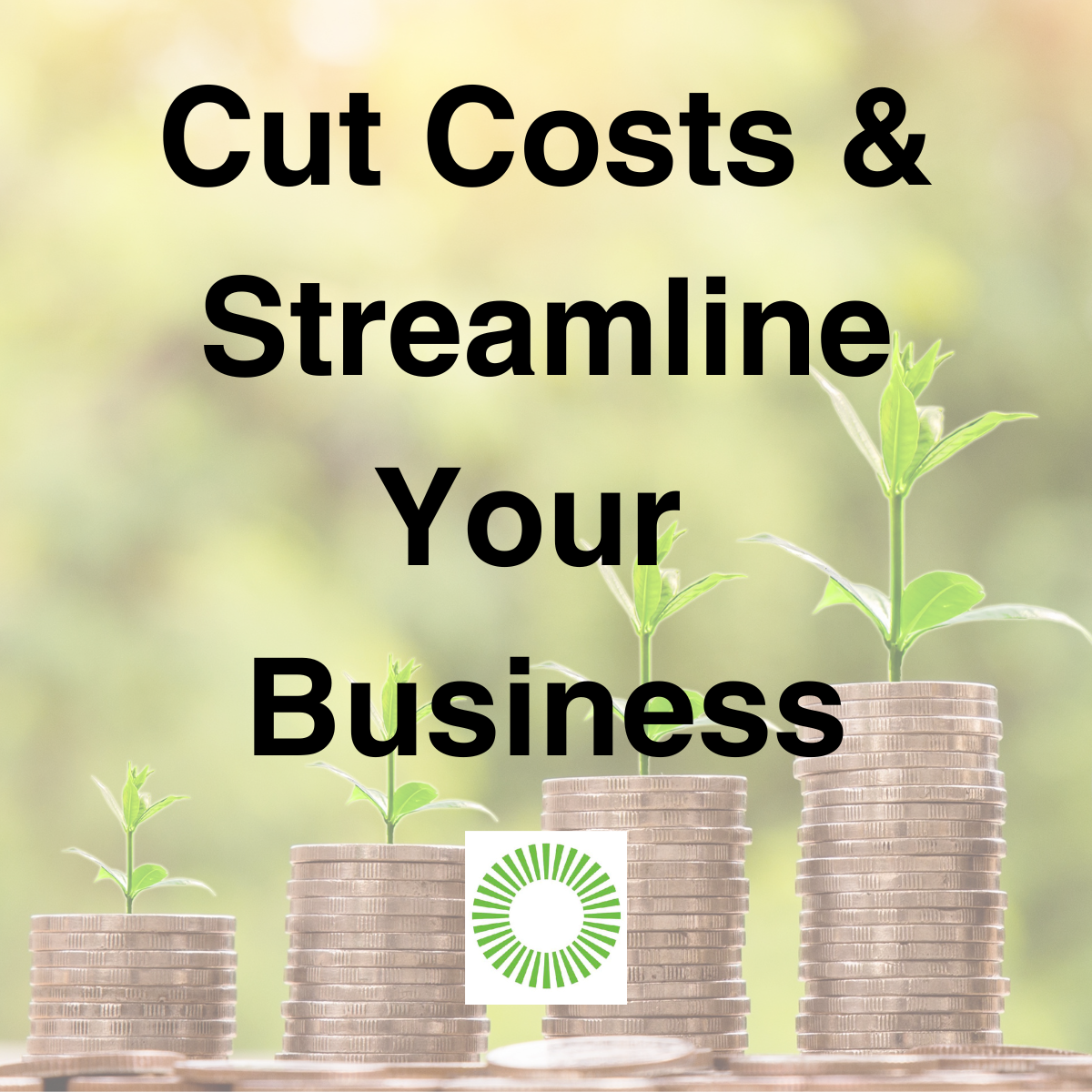 Cut Costs and Streamline Your Business