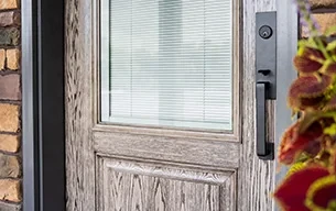 Close-up of a modern residential entry door with glass, black handle, and plant.