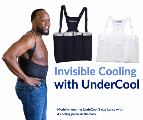 Beat the heat: Understanding the Impact of School Temperatures on Teac