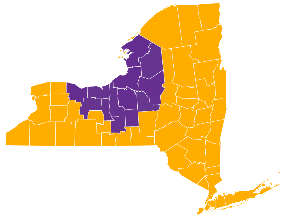 Disinfection Services New York