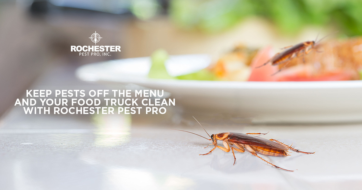 Keep Pests Off the Menu and Your Food Truck Clean with Rochester Pest Pro