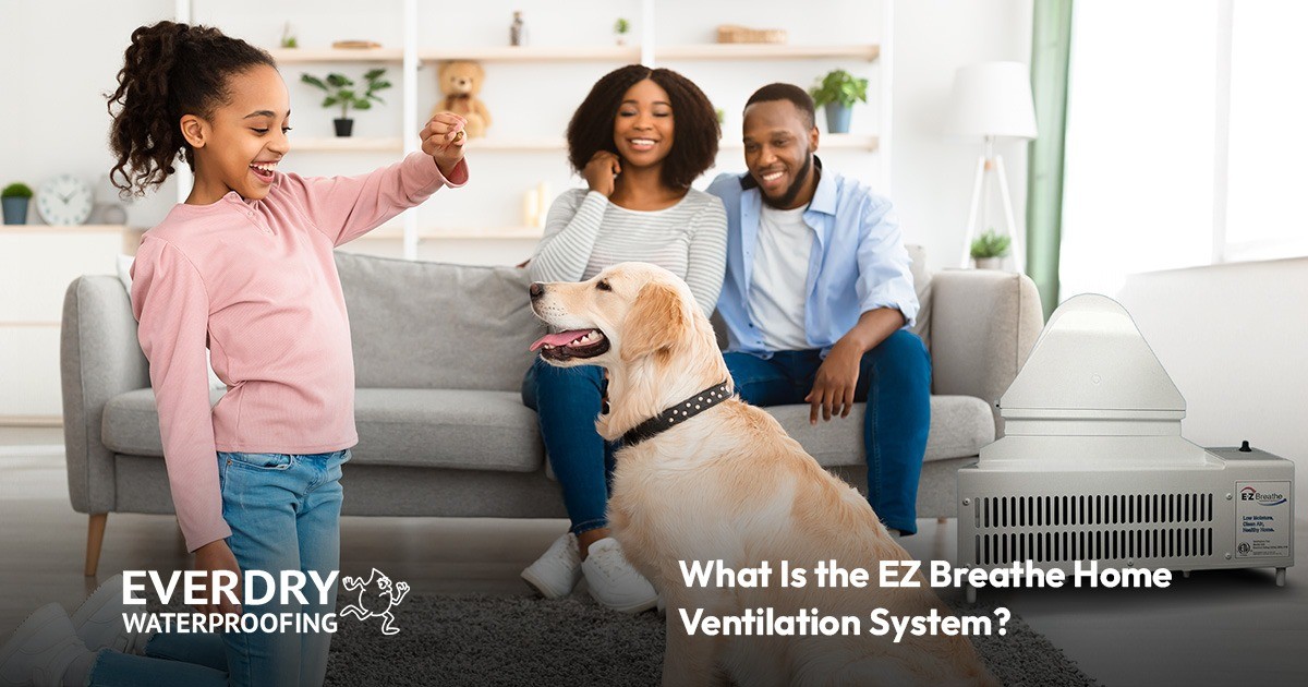 Smiling family with dog in living room, EZ Breathe unit and Everdry Waterproofing logo visible.