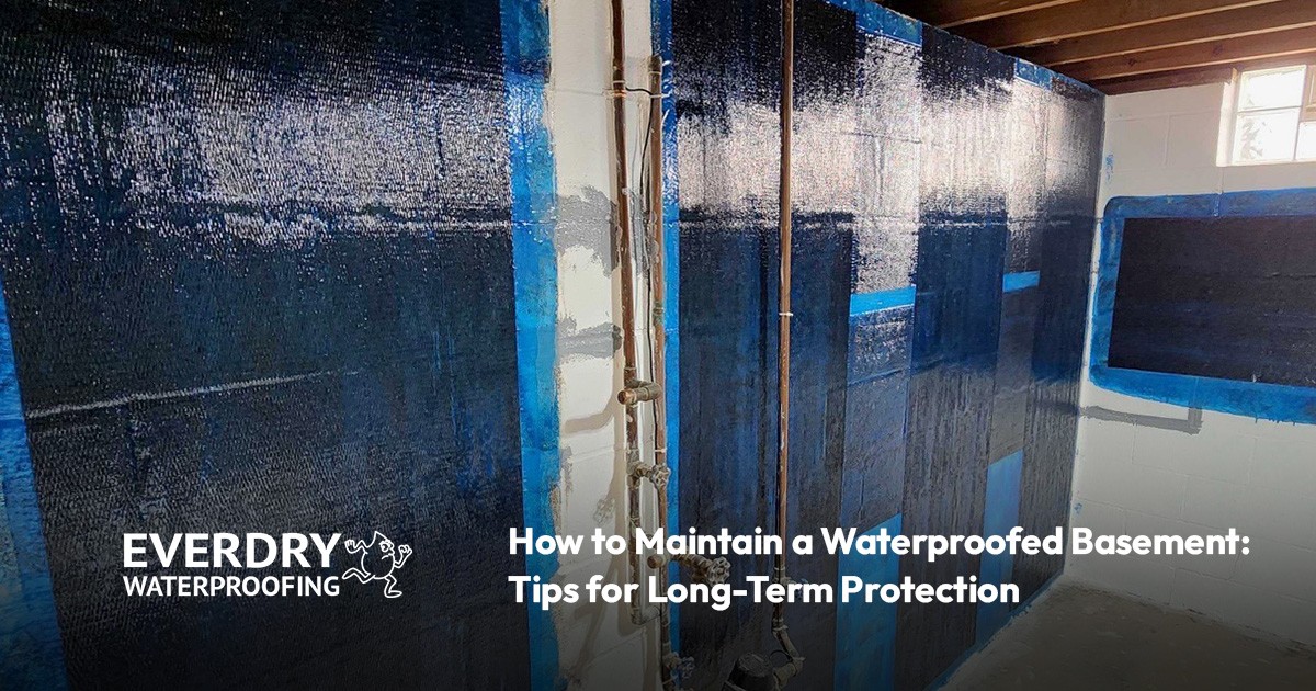 A basement wall with fresh blue waterproofing and exposed pipes, with text about basement care.