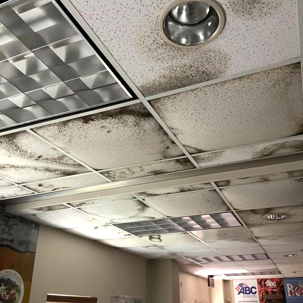 mold on ceiling 