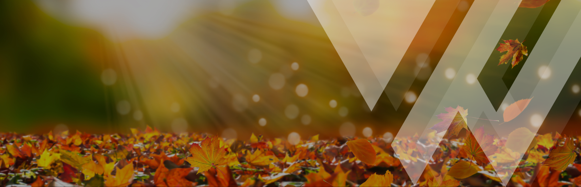 Fall
