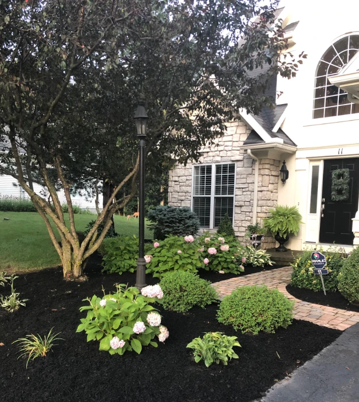 landscaping around deck