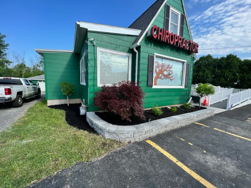 Green building with a Chiropractor sign, landscaped plants, and nearby parking spaces.