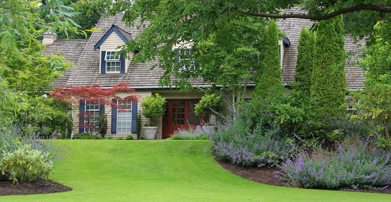 green lawn with maintained landscape