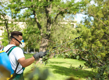 man watering flowers