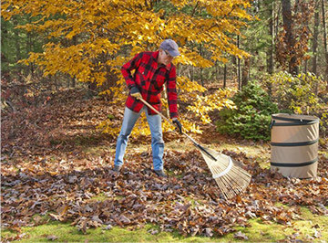 man raking leaves