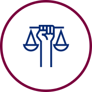 legal experience icon