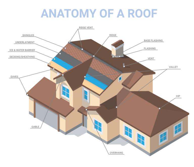 3D rendering of anatomy of a house