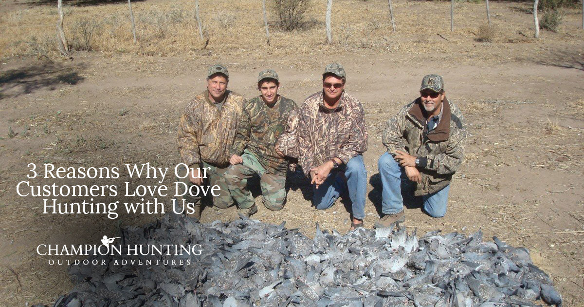 3 Reasons Why Our Customers Love Dove Hunting with Us