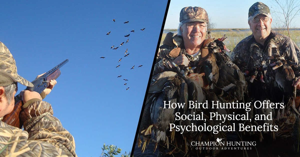 Argentina Bird Hunting Benefits