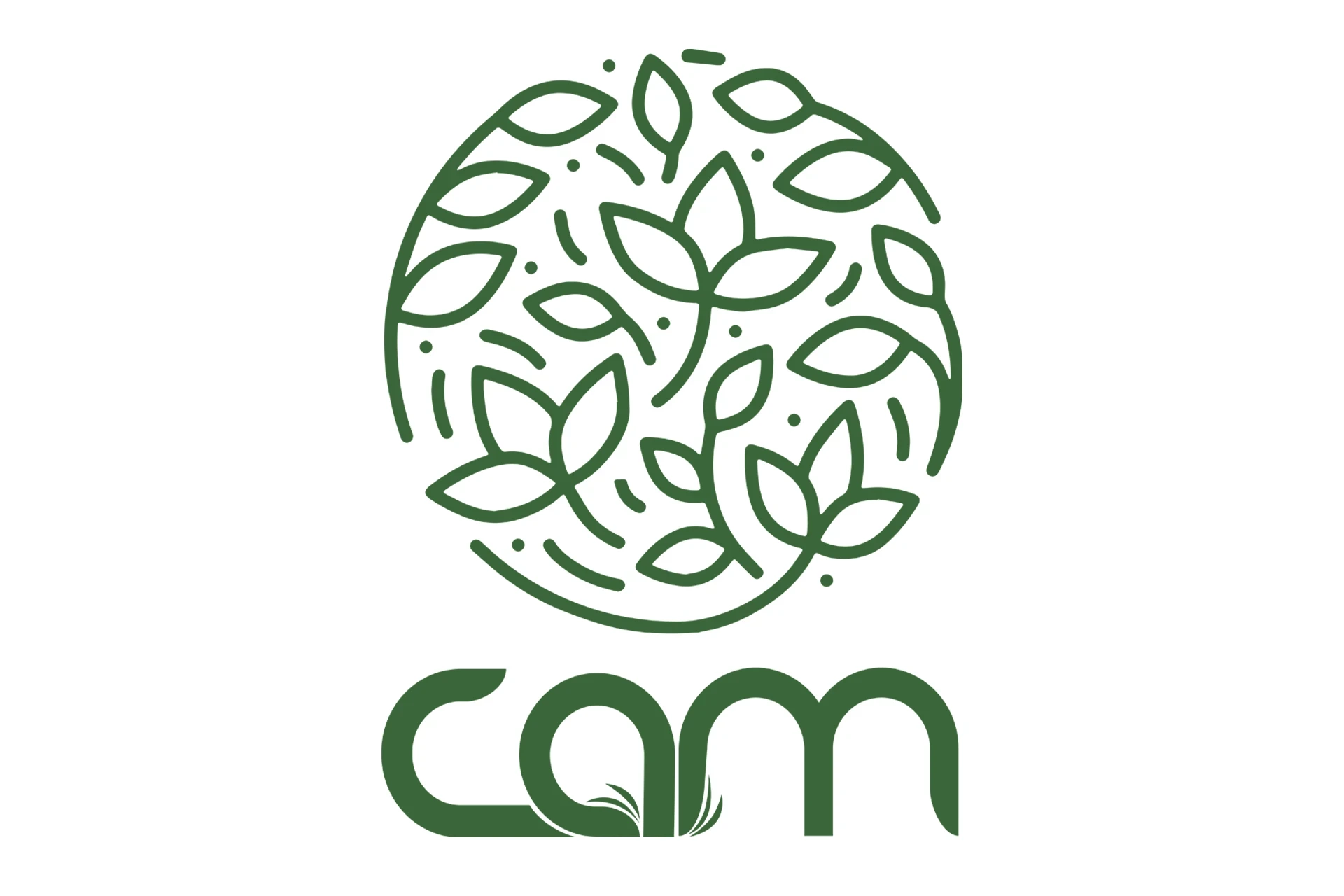 CAM