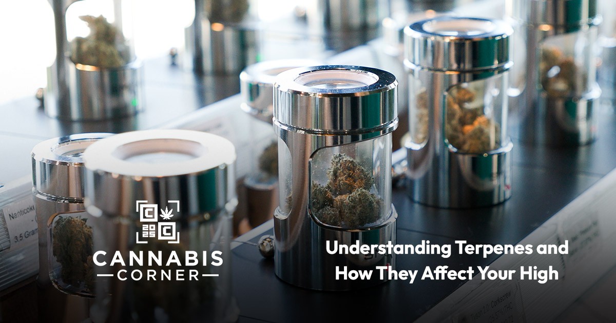 Understanding Terpenes and How They Affect Your High
