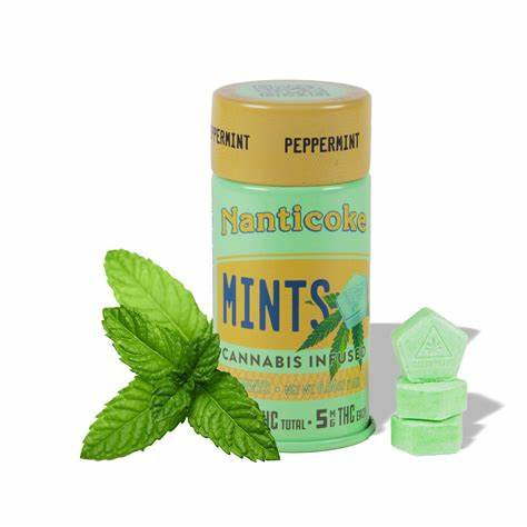 Nanticoke Cannabis Infused Mints 20PK THC 100MG Edibles
