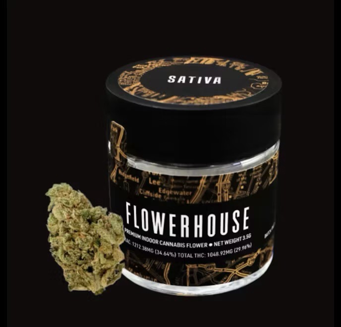 Jack Herer | 3.5G | Flower
