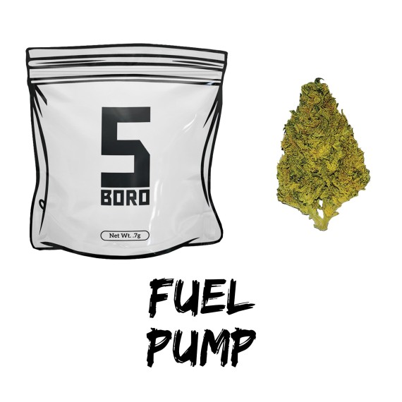 Fuel Pump | 0.7G | Flower