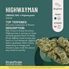 The Botanist Highwayman 14G Flower
