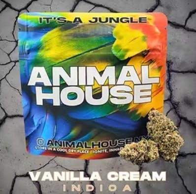 Vanilla Cream | 3.5G | Flower