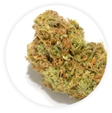 close up of marijuana flower