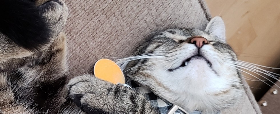 Milo