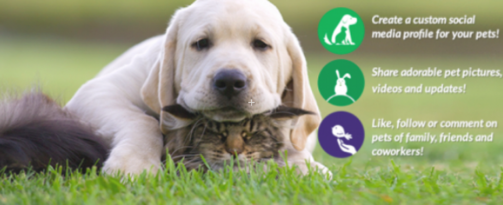 Follow My Pets