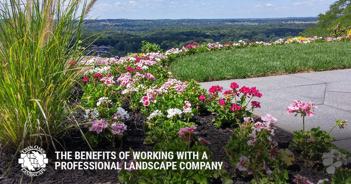 The Benefits of Working with a Professional Landscape Company