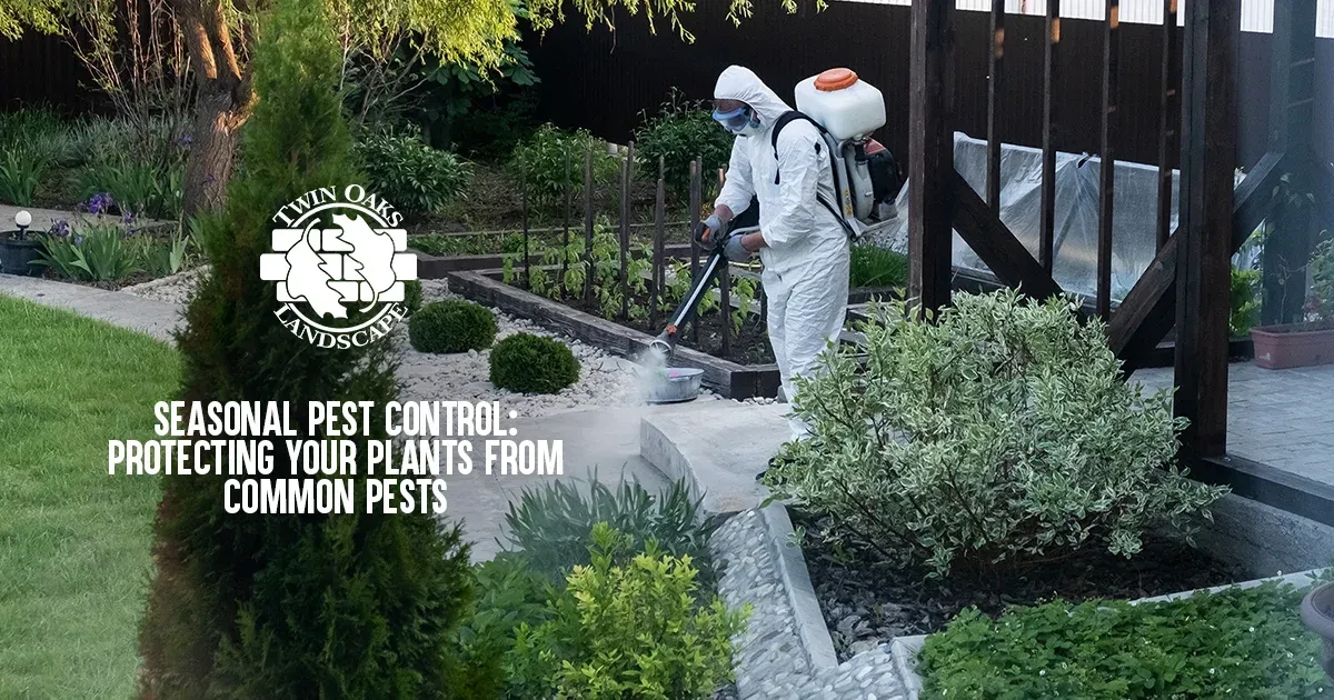 Seasonal Pest Control: Protecting Your Plants from Common Pests
