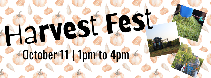 Harvest Fest at  Hosmer Winery