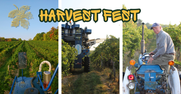 Harvest Fest at  Hosmer Winery