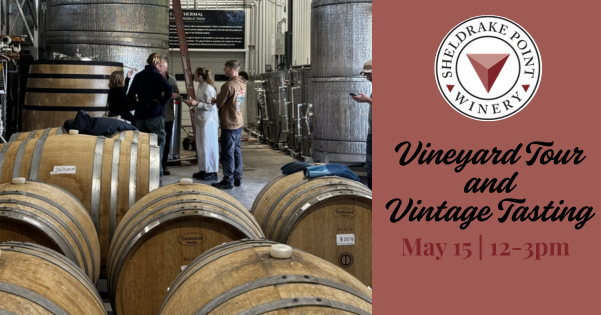 Vineyard Tour & Vintage Tasting at Sheldrake Point Winery
