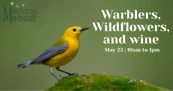 Warbler, Wildflowers, and Wine at Montezuma Winery
