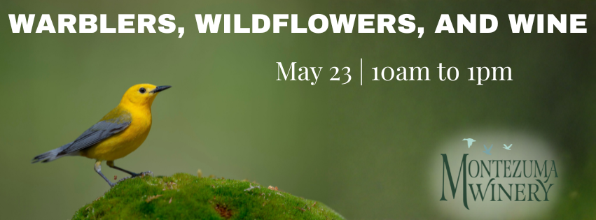 Warbler, Wildflowers, and Wine at Montezuma Winery